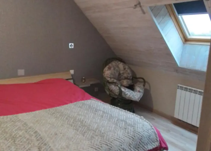 Special 24h Du Mans Mayet